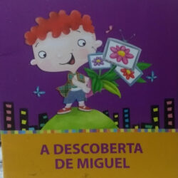 A descoberta de Miguel Marilurdes Nunes